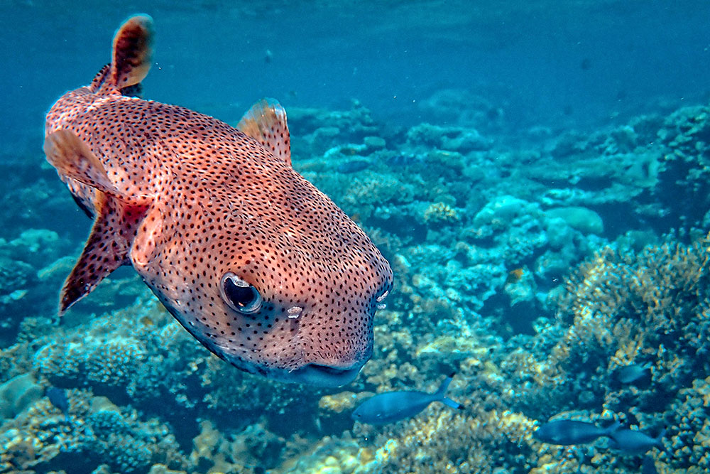 Туры в Египет в апреле 2026