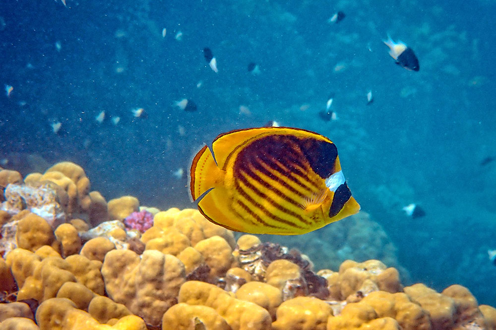 Туры в Египет в феврале 2026