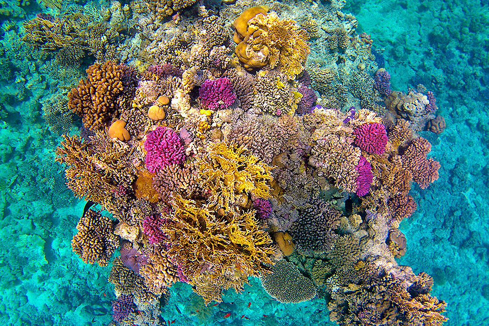 Туры в Египет в ноябре 2026