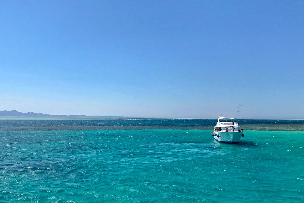 Туры в Египет в январе 2026